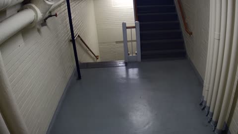 3891FHOB05Stair4_2021-01-05_18h40min02s567ms.mp4