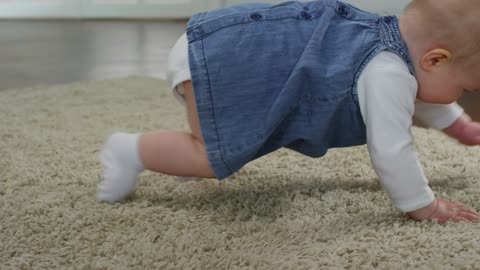 Cute baby crawlin