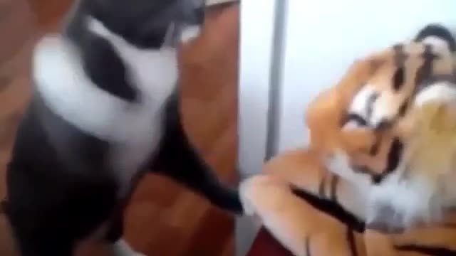 You made me mad