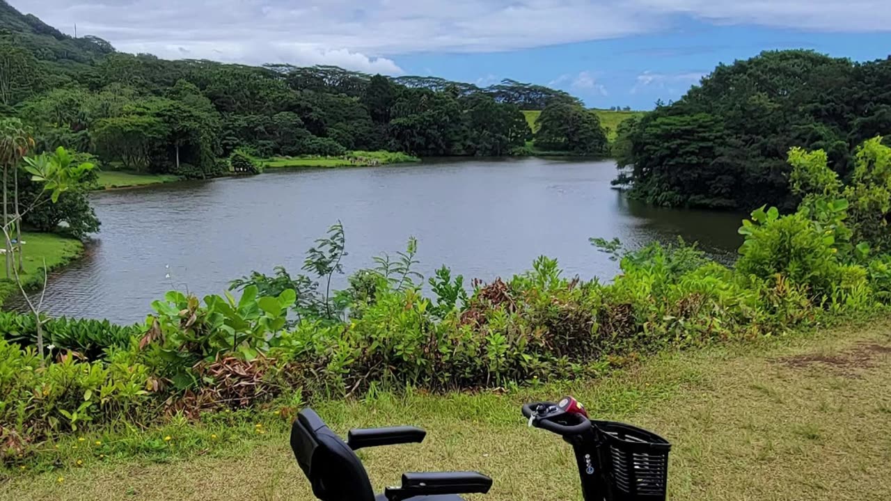 Hoomaluhia Botanical Garden Hawaii Nature Escape.