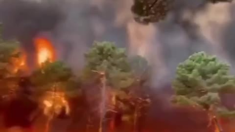 Erdőtűz Spanyolországban / Forest fire in Spain