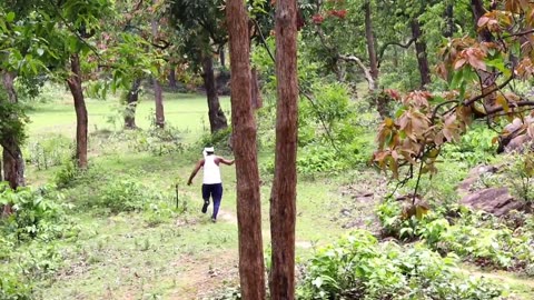 Girl Faces Terrifying Tiger Encounter in the Heart of the Wilderness