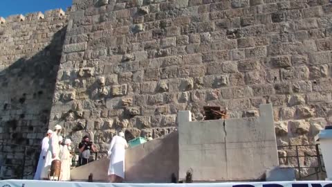Zionist & Sanhedrin sacrifice for a future third temple and king (Antichrist?)