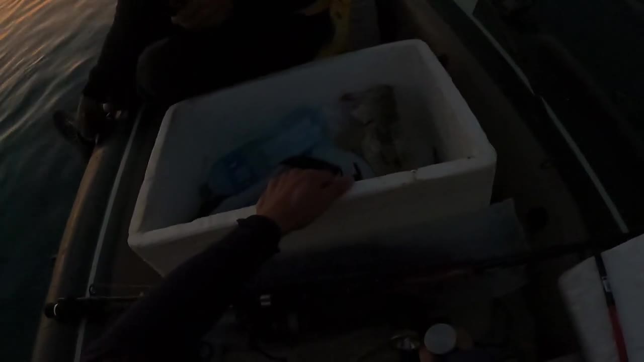 Fishing Adventure - EP007 - Hamour