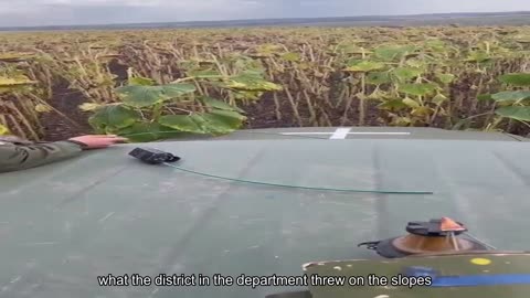 Kharkiv region. Rusna was flying over