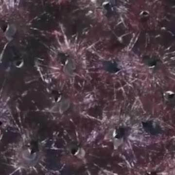 🐧 YOU THOUGHT YOUR NEIGHBOURS WERE BAD? PENGUINS POO ... A LOT! 🐧