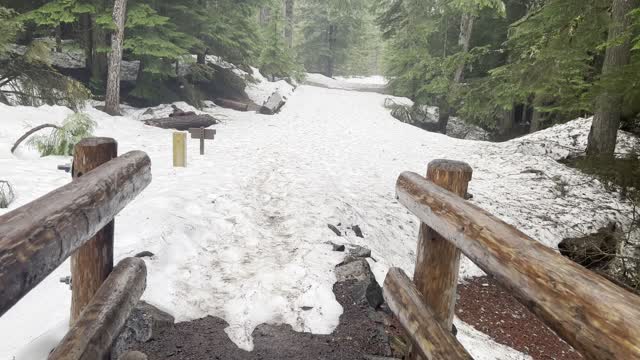 Crossing an EPIC Log Bridge Overlooking McKenzie River – Sahalie Falls & Koosah Falls Loop – 4K