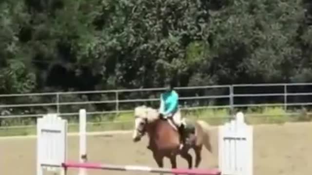 Funny Falls 2021 - Falls from horses - Is it really funny_ - What do you think_