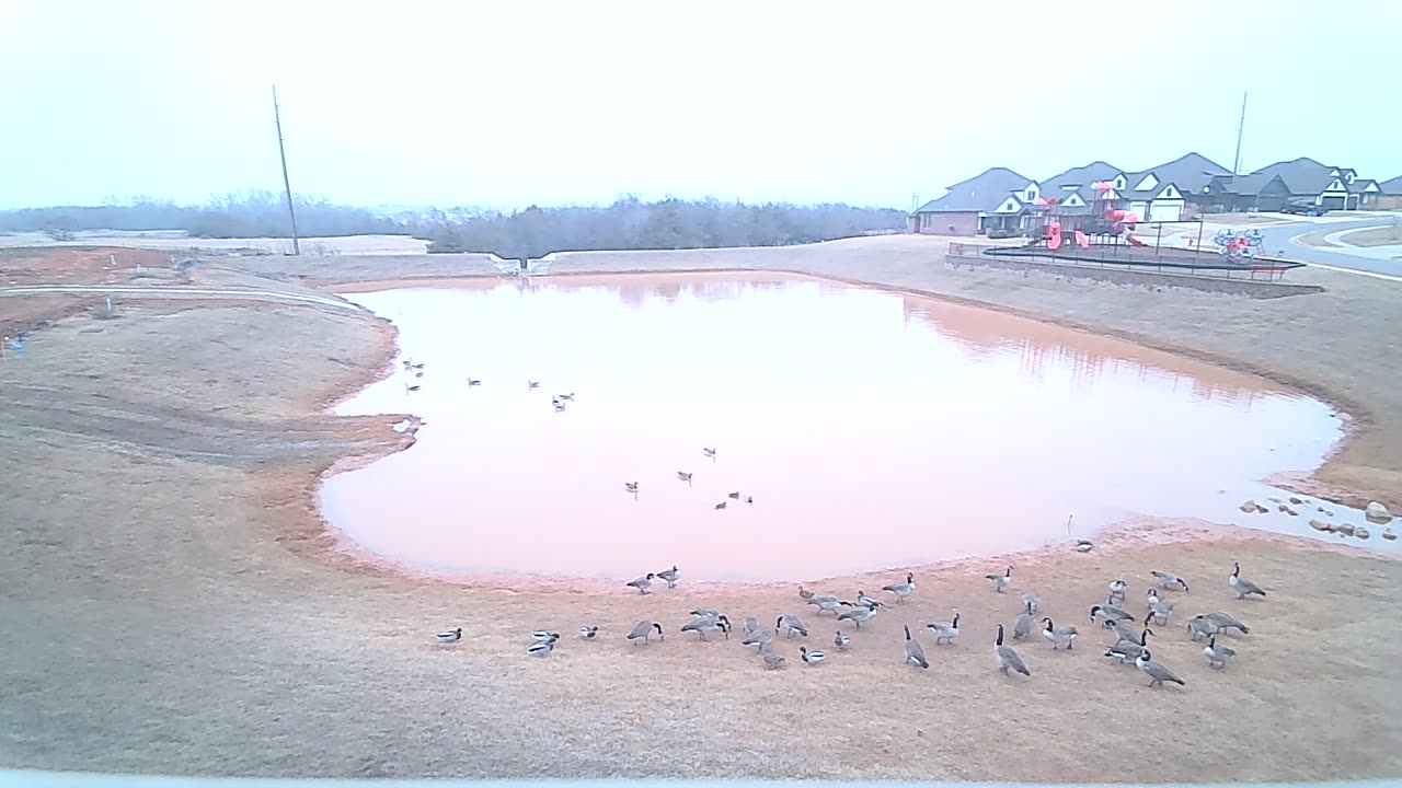 The Pond