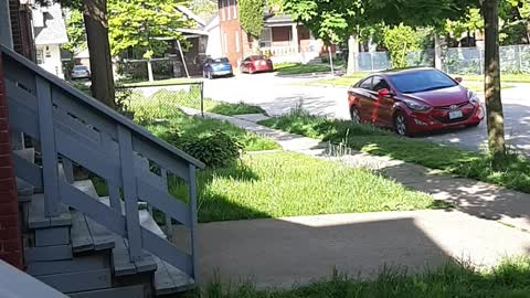 Sounds of the morning