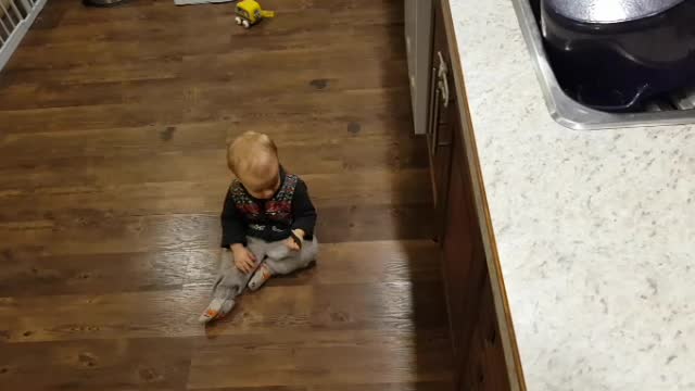 This Adorable Baby Loves Watching The TV Show Jeopardy