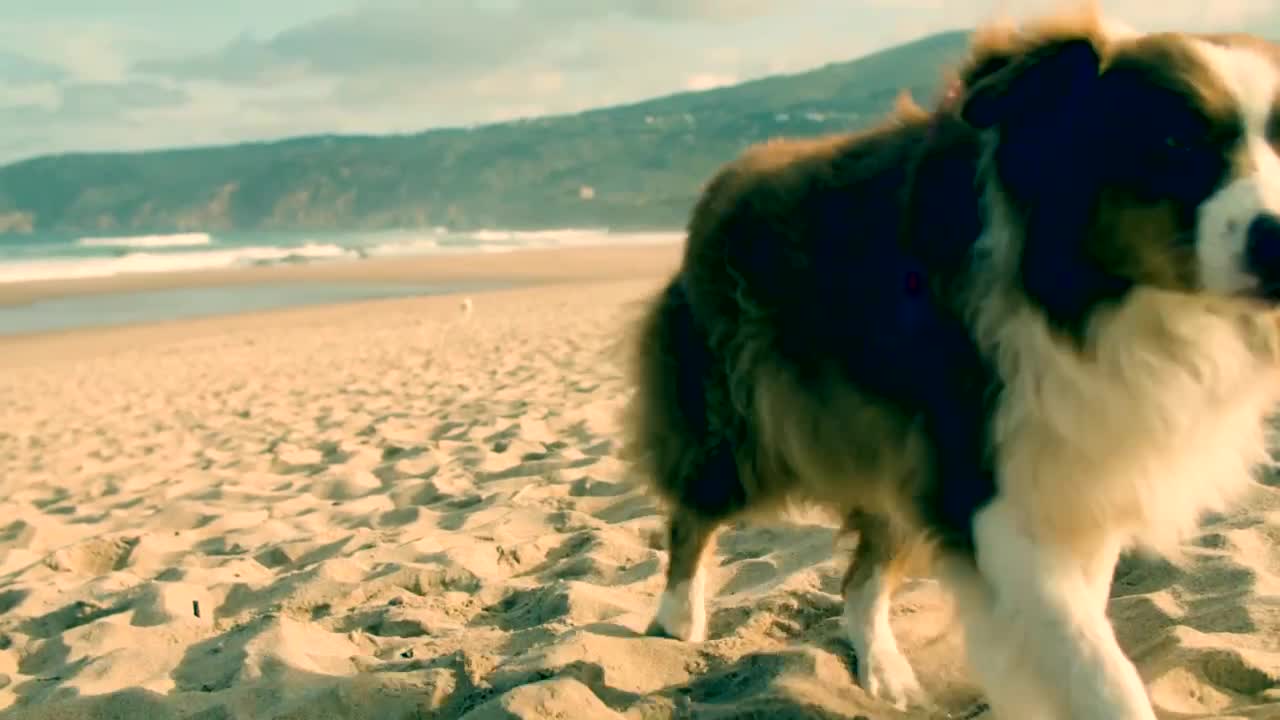 Day on the Beach