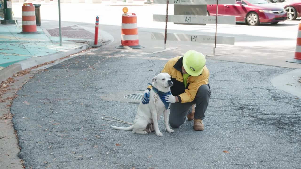 pet animals | cute animals |