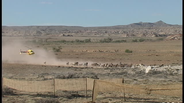 Fifteenmile Wild Horse Roundup - 2004 - American pioneers