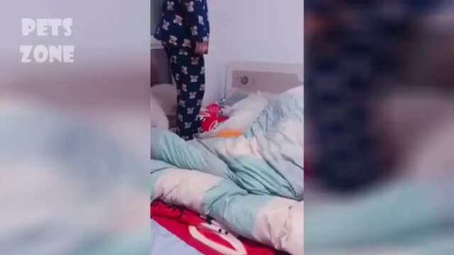 Funny Baby Animals video