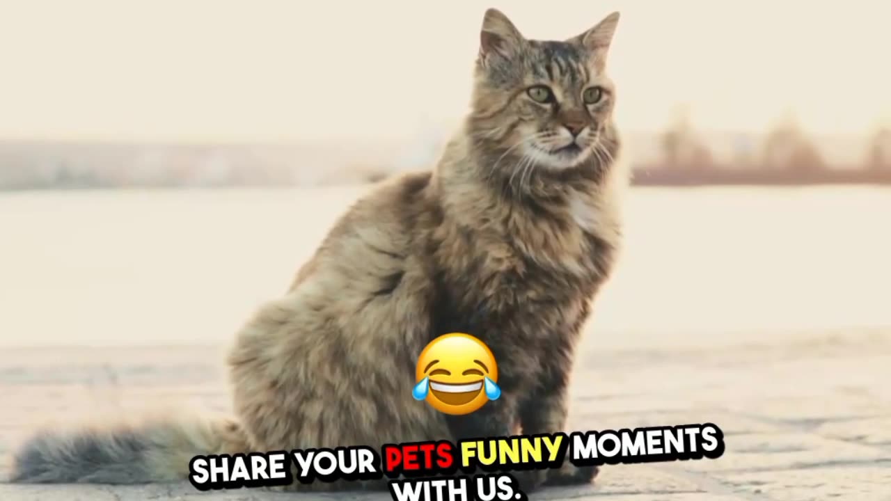 "Funny and Adorable Moments with Pets | Pet Lovers Must Watch"