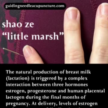 does acupuncture promote lactation?