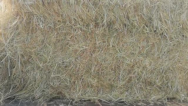 Grass unloading from big container