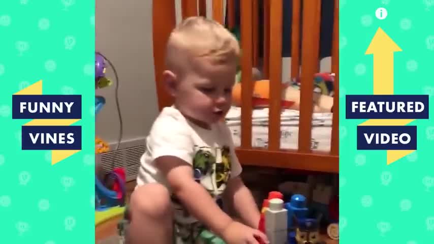 Funny videos for the whole family