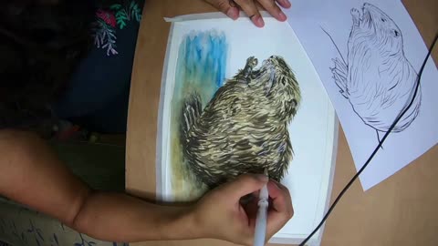 NUTRIA / URUFAUNA
