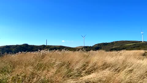 Time lapse, wind turbine 1