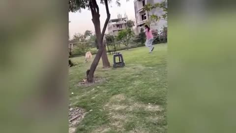 New funny video