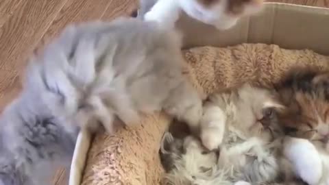 "We got here too late! No more room."