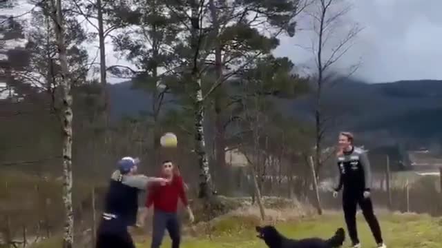 Cãozinho jogando futebol