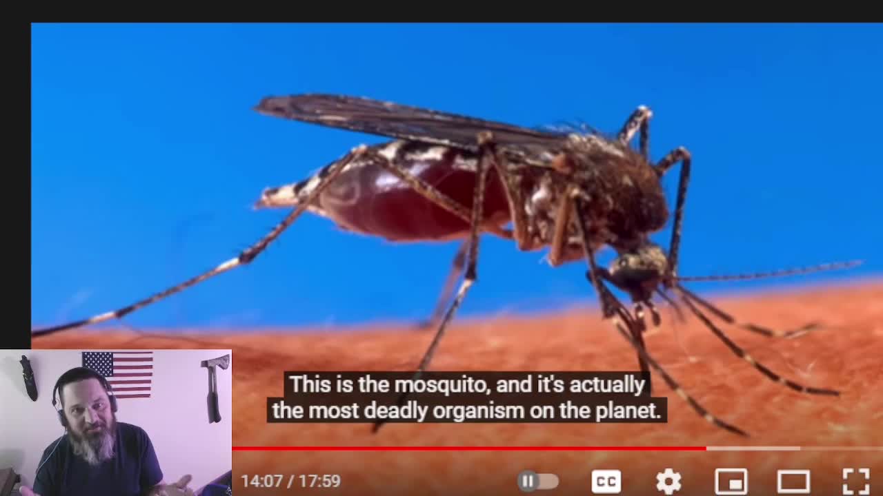 Wait...What the Did Sean Ward say?