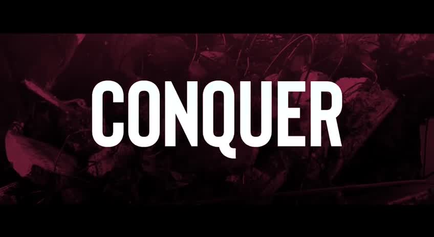 Conquer