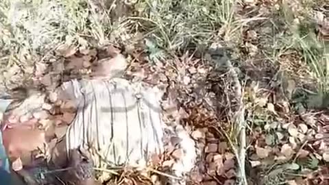 A Russian Soldier Found Thousands of miles from Ukraine in the Forests of Siberia