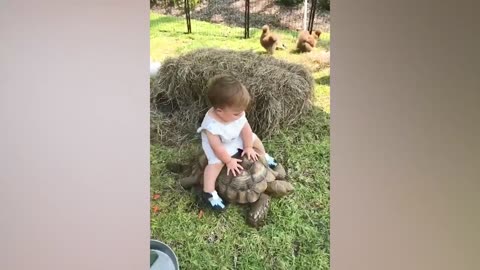 Funniest animal vs babies: adorable animals and babies