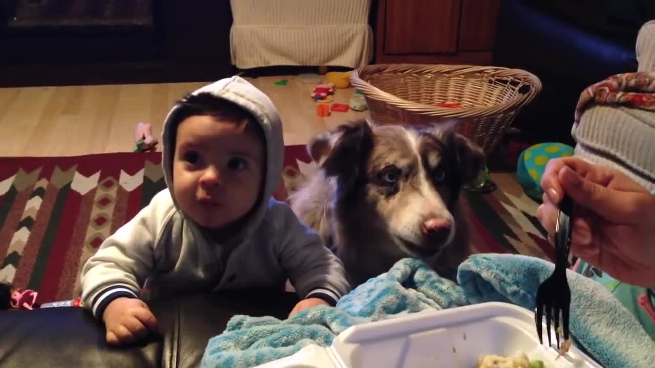 Dog says mama and baby can't