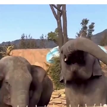 After Making the Switch