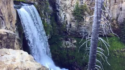 Relaxing Music | Sleeping, Meditation, Stress Relief | [1440] ⭐️