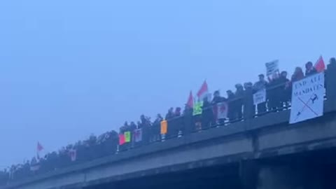 Les citoyens surveille les Truck sur les ponts