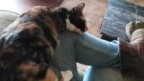 She loves my leg