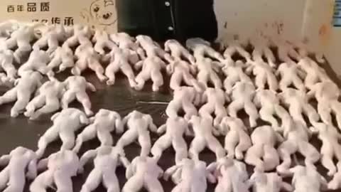 huge frogss lo que faltaba 😅