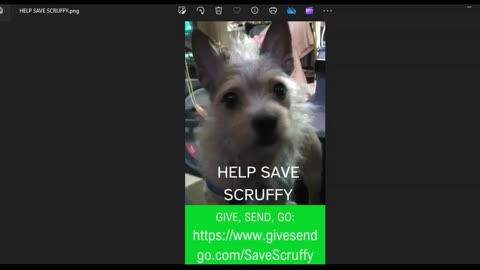 Scruffy Update 0726/2024