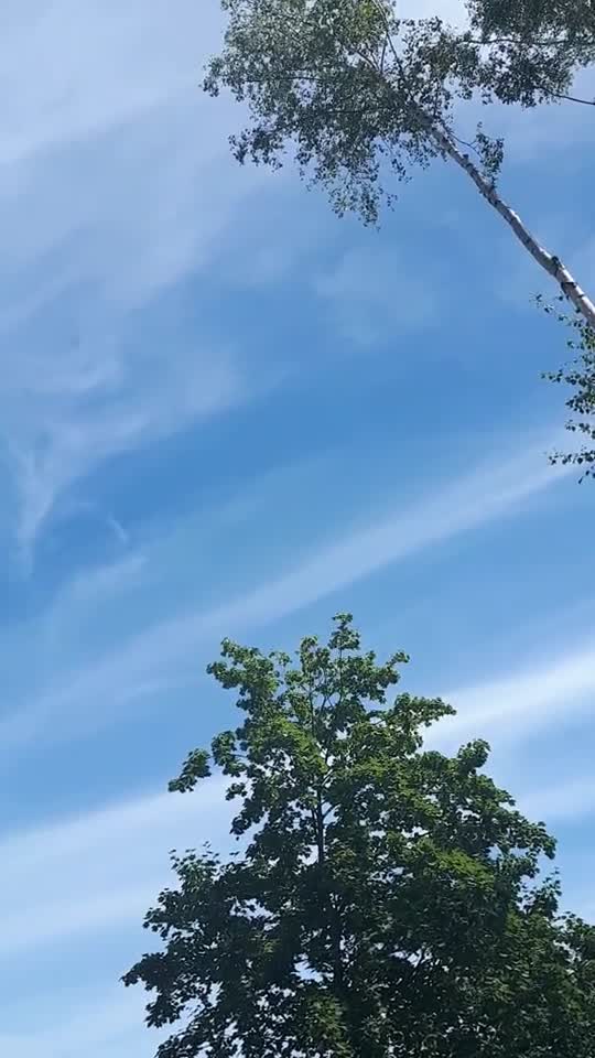 Himmel in Berlin am 17. Juni 2022 um 13:23 Uhr