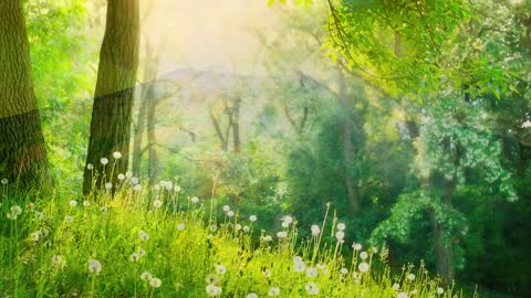 30 Minute Deep Sleep Music, Sleep Meditation, Calm Music, Relaxing Music, Fall Asleep, Relax, ☯3590B