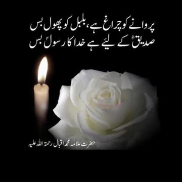 Urdu Quotes