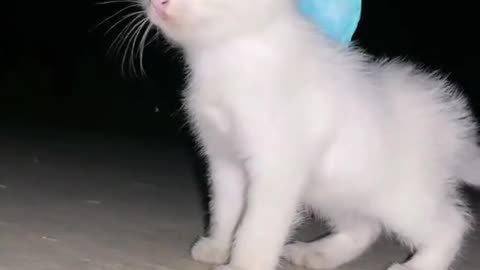Give me a ride!