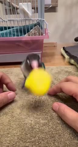 I am the real thing baby! 😂🤣