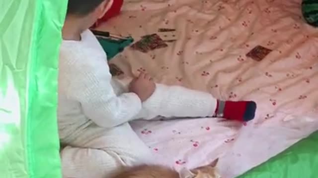 FUNNY ANIMALS best video