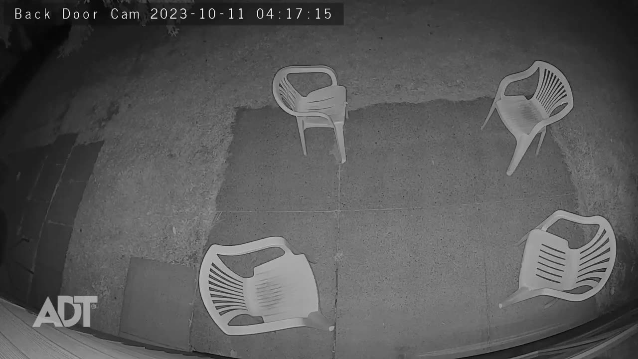 A spider descends like a parachute in front of the surveillance camera