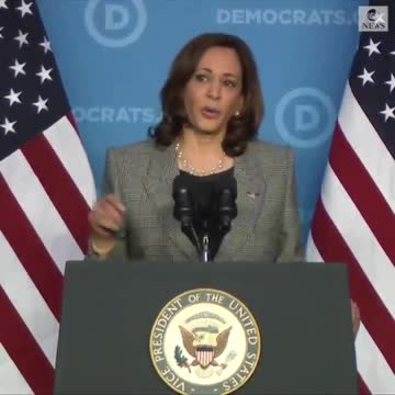 Kamala Harris emphasizes US commitment to defend NATO at DNC winter meeting