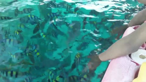 Catches fish by hand in the sea