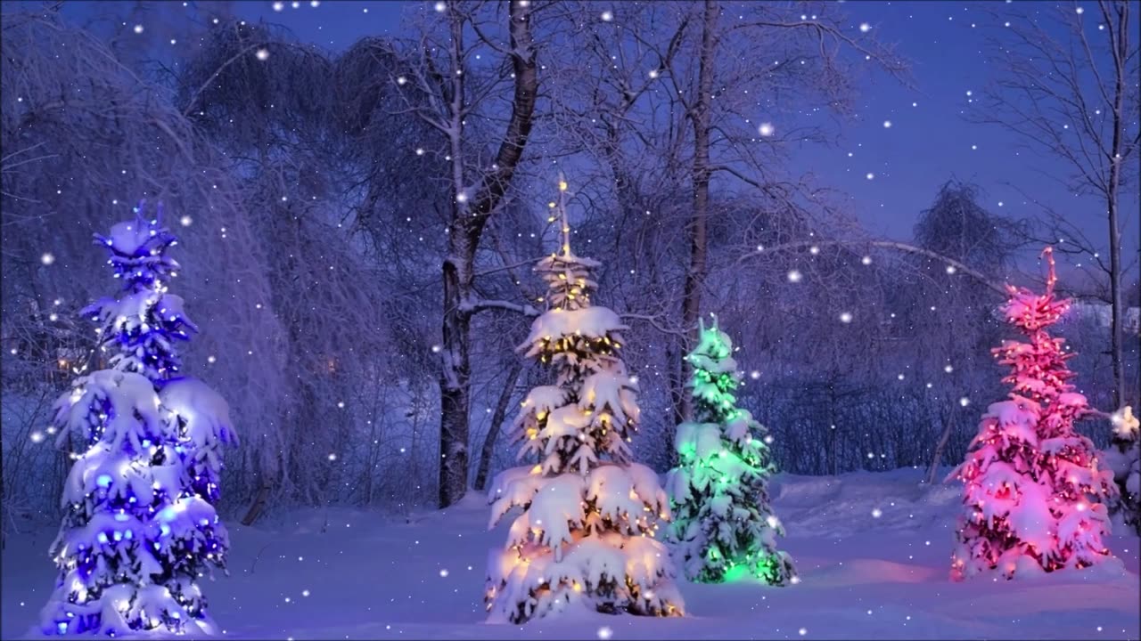 Christmas Trees in the Woods / Winter Soundscape