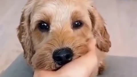 SOOO CUUUTE